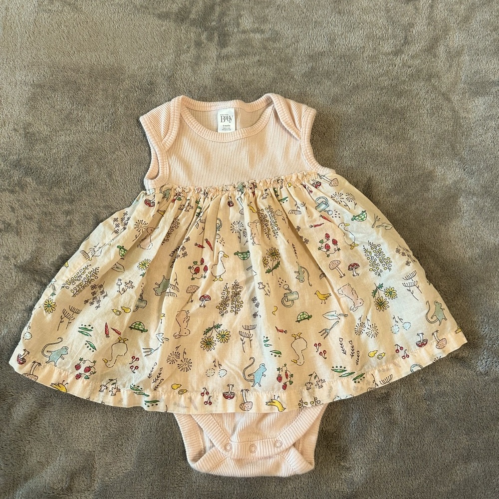 Nordstrom Baby Dress